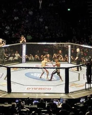 APFC 25: New Mexico Fight Night